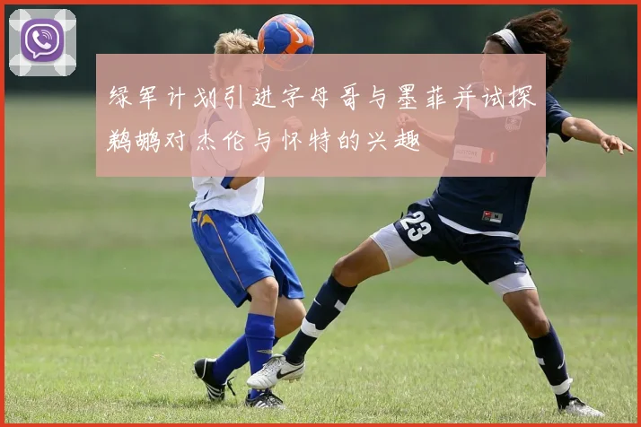 绿军计划引进字母哥与墨菲并试探鹈鹕对杰伦与怀特的兴趣