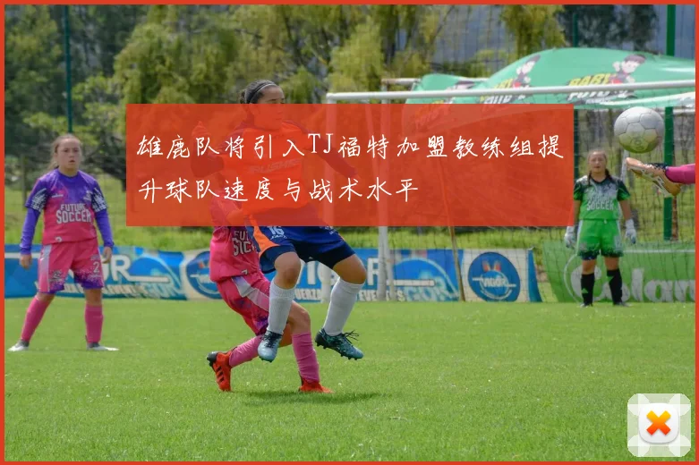 雄鹿队将引入TJ福特加盟教练组提升球队速度与战术水平