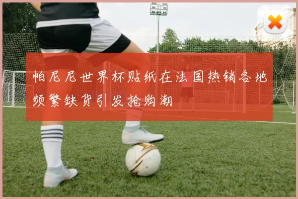 帕尼尼世界杯贴纸在法国热销各地频繁缺货引发抢购潮
